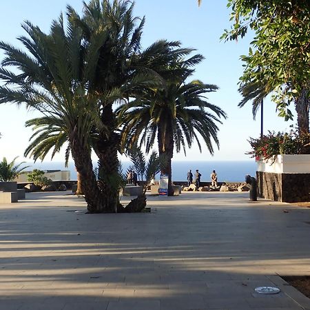 The Bird'S Nest Apartment Puerto de la Cruz  Bagian luar foto