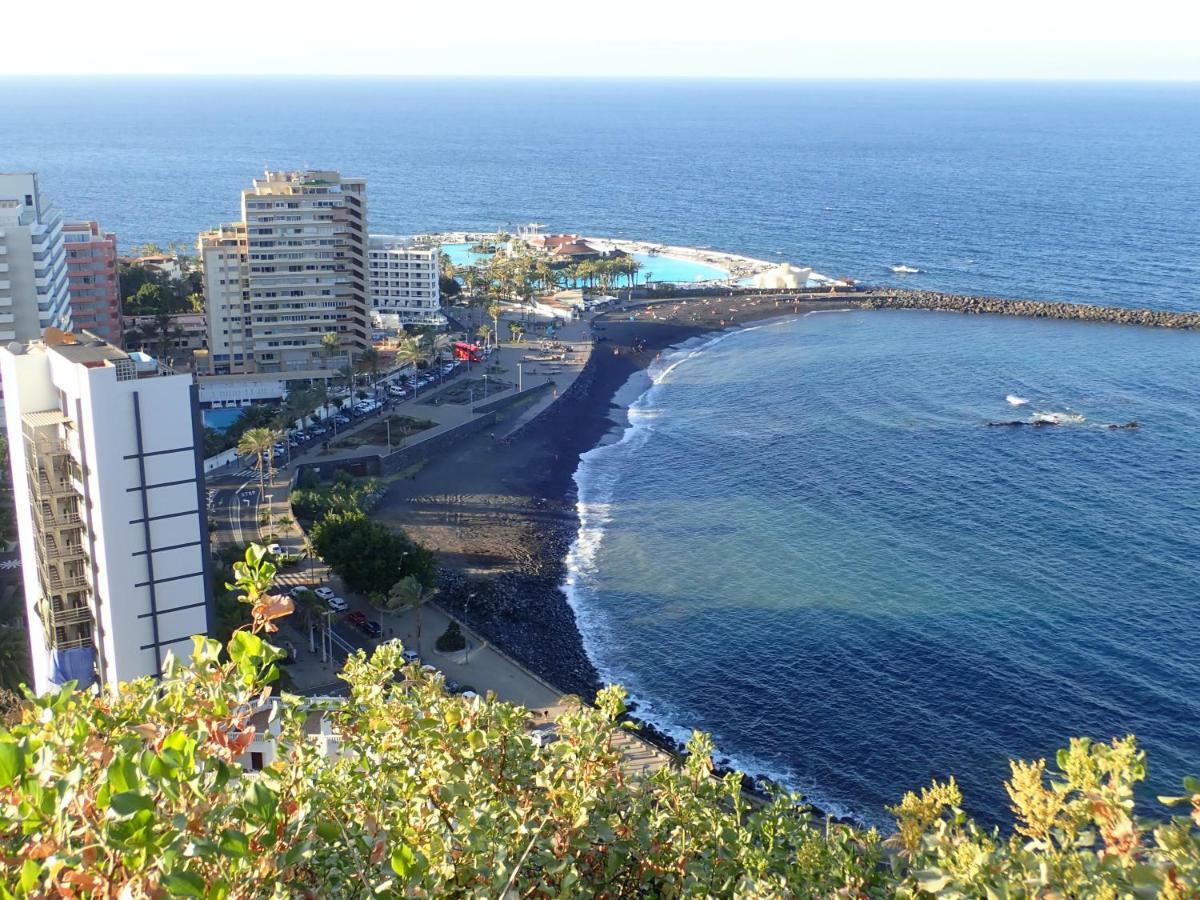 The Bird'S Nest Apartment Puerto de la Cruz  Bagian luar foto