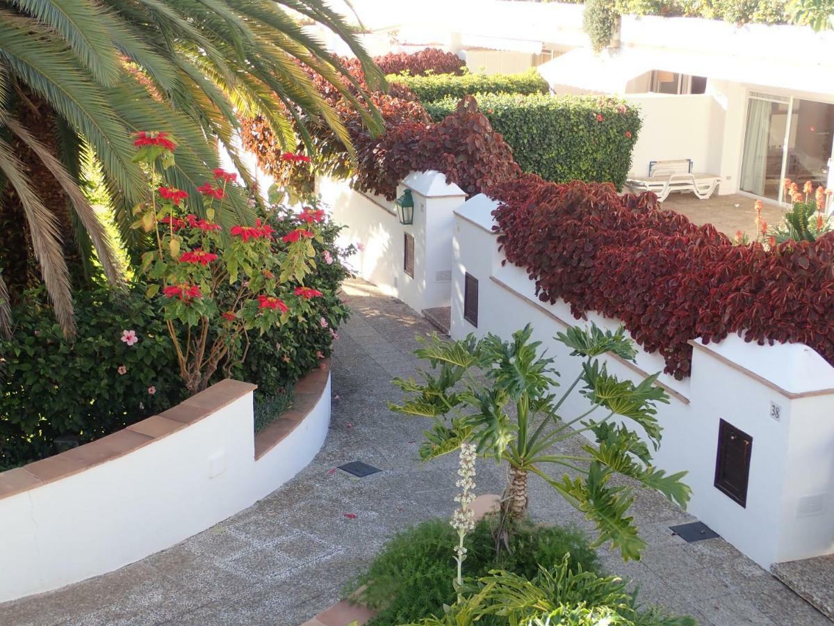 The Bird'S Nest Apartment Puerto de la Cruz  Bagian luar foto