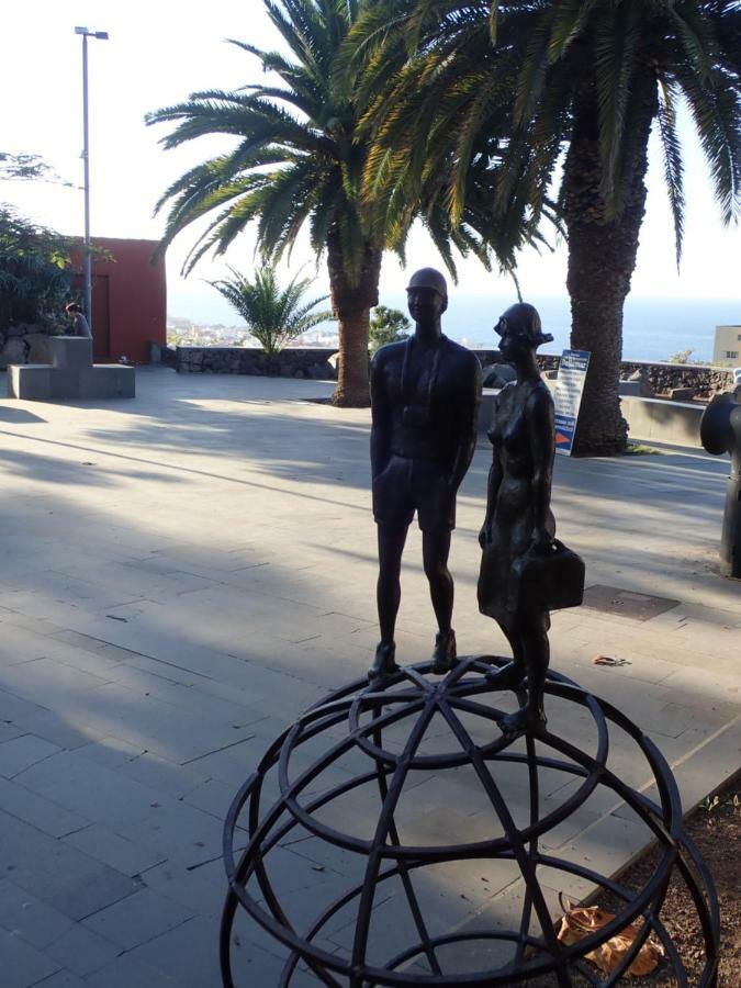 The Bird'S Nest Apartment Puerto de la Cruz  Bagian luar foto